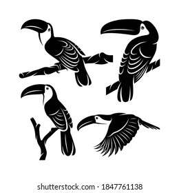 Satz Silhouette Toucan Vogel Vektorgrafik Design, kreatives Design