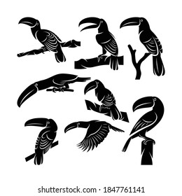 Set of silhouette toucan bird vector illustration design, creative design