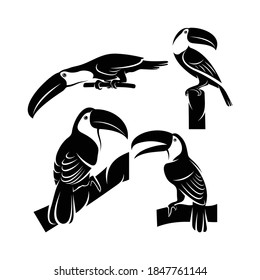 Set of silhouette toucan bird vector illustration design, creative design