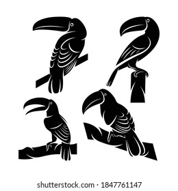 Conjunto de silueta táctil diseño de ilustraciones vectoriales de pájaros, diseño creativo