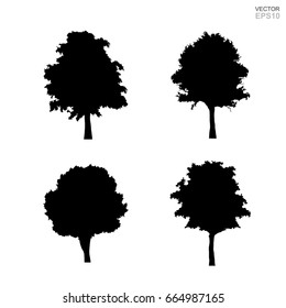 Set of silhouette tree isolated on white background. Vector illustration.