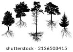 Set of silhouette trees with roots. Beautiful fir, pine, deciduous trees. Vector illustration
