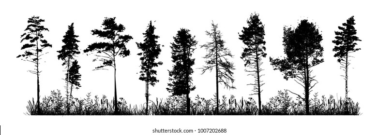 Forest Silhouette Images, Stock Photos & Vectors | Shutterstock