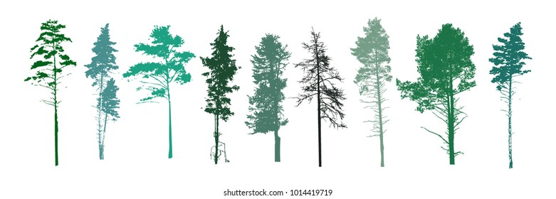 set of silhouette trees. Vector
