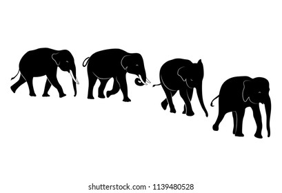 Set of silhouette walking elephant. Vector illustration isolated on white background.