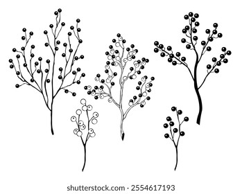 Set of silhouetted and contoured, isolated, thin twigs of Winterberry Holly, Ilex verticillata on  white background. Decorations for the celebration of Christmas. Winter Natural Decoration.