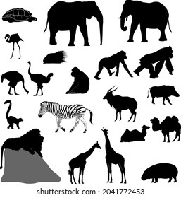 Set Silhouettes African Animals Ostrich Giraffe Stock Vector (Royalty ...