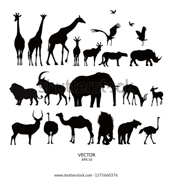 Set Silhouettes African Animals Vector Illustration Stock Vector ...