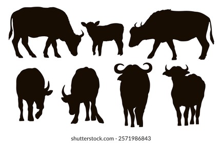 Set of silhouettes of African buffalo. Buffaloes and their calves stand and walk. Realistic vector animals of Africa