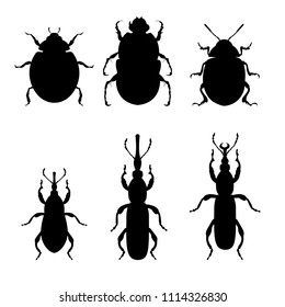 Set of silhouettes of agricultural insect pests. Vector illustration isolated on white background