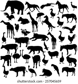 Set  silhouettes  animals and birds in the zoo collection. Vector illustration.
