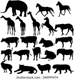 Set  silhouettes animals in zoo collection on a white background. Vector illustration.