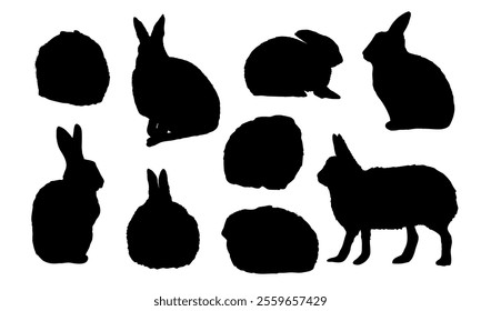 Set of silhouettes of Arctic hares Lepus arcticus in different poses. Wild animal of the Arctic tundra. Realistic vector isolated rabbits