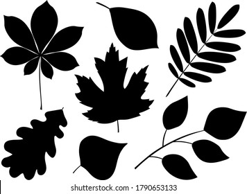Set silhouettes of autumn leaves rowan maple oak chestnut chestnut black color vector illustration