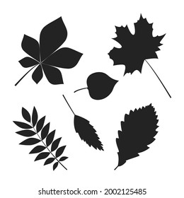 Conjunto de siluetas de hojas de otoño. Ilustración vectorial aislada en fondo blanco.