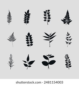 Set of silhouettes of autumn leaves. Vector on a gray background