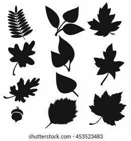 Set of silhouettes  autumn  leaves. Vector. 
