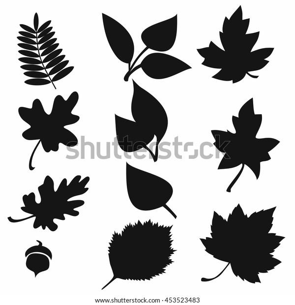 Set Silhouettes Autumn Leaves Vector Stock Vector (Royalty Free) 453523483