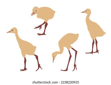Set of silhouettes of baby cranes on white background, vector illustration