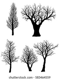 Set of silhouettes of bare trees on a white background.