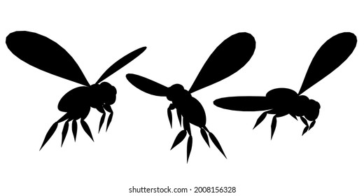 Set with silhouettes of bees in different positions isolated on white background. Vector illustration