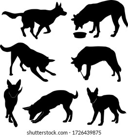 set of silhouettes of big dog in move (run, play, sniff, eat, walk, bite), vector isolated on white background