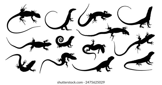The set of silhouettes of big lizards.
