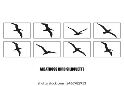 set of silhouettes of bird albatross, albatross bird silhouette vector illustration
