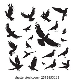set of silhouettes of birds