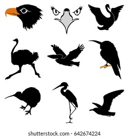set of silhouettes of birds