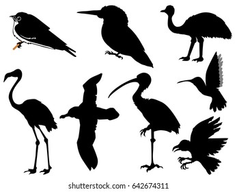 set of silhouettes of birds