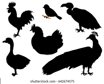 set of silhouettes of birds