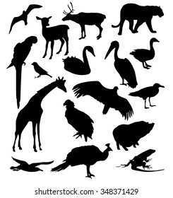 Set of silhouettes of birds and animals. Vector illustration