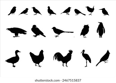 set of silhouettes of birds . Set of black bird silhouettes.