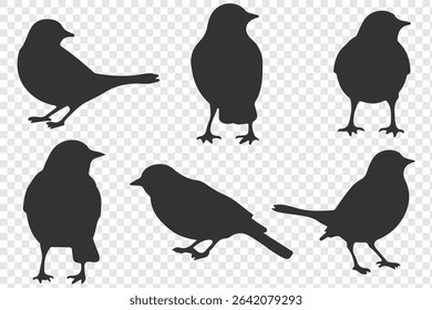 set of silhouettes of birds. eps 10.