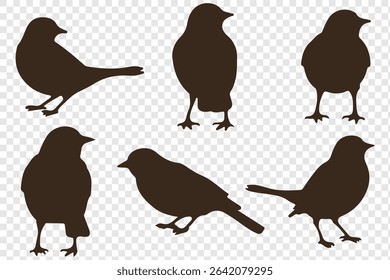 set of silhouettes of birds. eps 10.