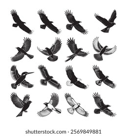  set of silhouettes of birds. Graceful Bird Silhouettes: A Unique Bundle.