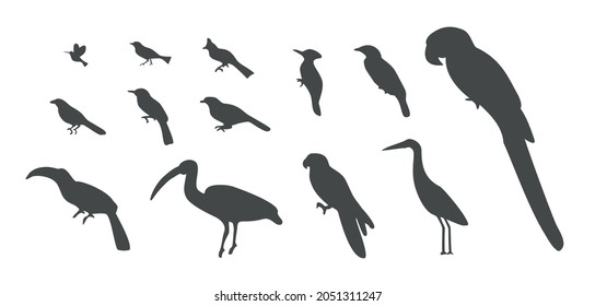 Set of silhouettes of birds. Illustration of birds collection isolated on white background. Vector illustration.