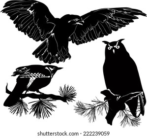 set of silhouettes of birds isolated on white background