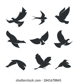 set of silhouettes of birds in motion on a white background . Vector illustration