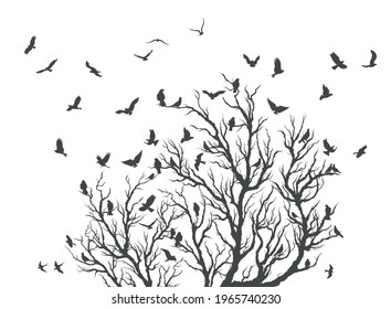 set of silhouettes of birds in motion on a white background . Vector illustration