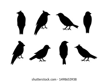 Set of silhouettes of birds on white background.