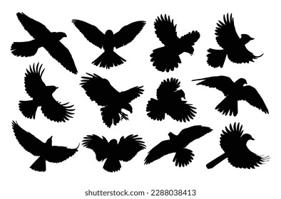 The set of silhouettes birds of prey in flight.
