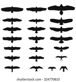 Set of Silhouettes of birds of prey Vector Illustration