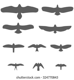Set of Silhouettes of birds of prey Vector Illustration