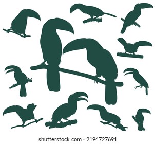 Set of silhouettes of birds toucan (11 pieces)