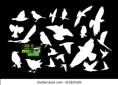 Set of silhouettes of birds. Vector