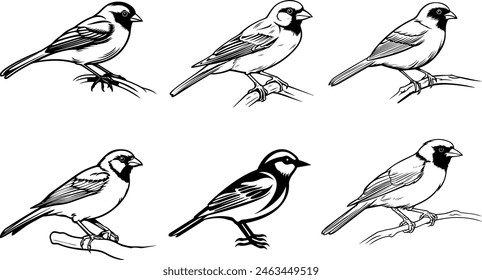 set of silhouettes of birds Vector illustration silhouette image icon
