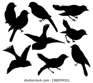 
Set of silhouettes of birds. Wall sticker. Black and white graphic collection, set of silhouettes of birds on a white background.