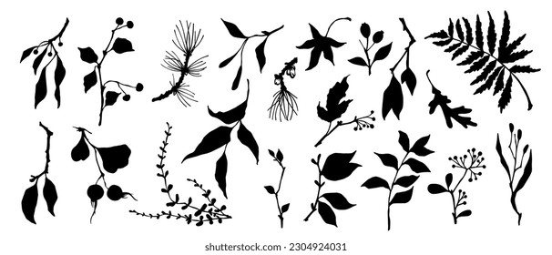 Set of silhouettes of botanical elements, branches, leaves, dried flowers. Vector graphics.